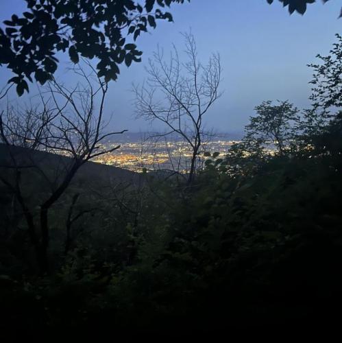 Firenze, Alle Pendici Del Monte Morello - Campi Bisenzio