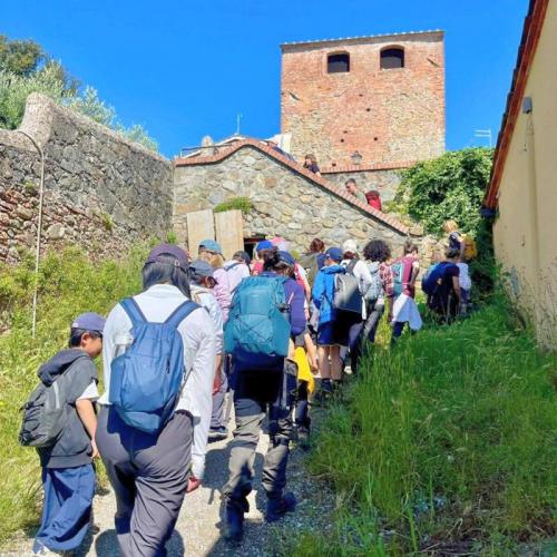 Firenze, Alle Pendici Del Monte Morello - Campi Bisenzio