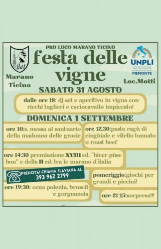 La Festa Delle Vigne A Marano Ticino - Marano Ticino