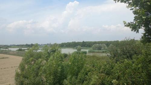 Un'oasi Di Pace Nelle Campagne Di Concordia Sagittaria - Concordia Sagittaria