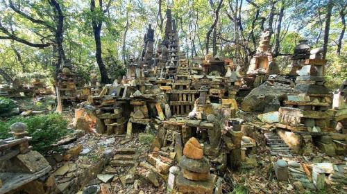 Trekking Nella Selva Di Sogno - Casole D'elsa