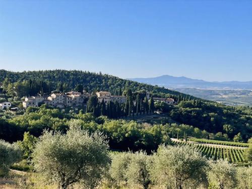 Fonterutoli E La Leggenda Del Gallo Nero  - Castellina In Chianti