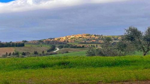  Grotte Gialle Linaglia E Parmigiani Casale Marittimo - Casale Marittimo