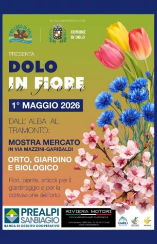 Dolo In Fiore - Dolo