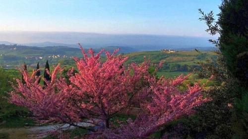 Montespertoli Aperi -trek Al Tramonto - Montespertoli
