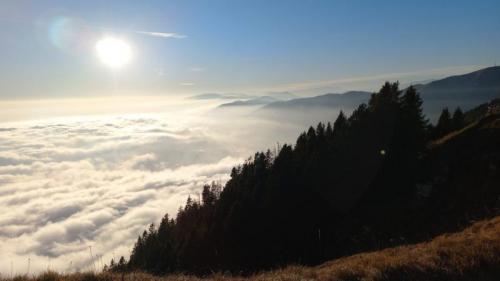 Il Monte Pizzoc E Millifret Tra Boschi E Panorami Mozzafiato - Fregona