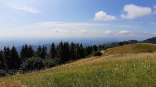 Pian De Le Femene Tra Malghe, Pascoli E Boschi - Limana