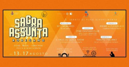 La Sagra Dell'assunta A Robegano - Salzano