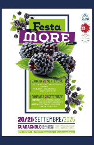 Festa Delle More A Guadagnolo - Capranica