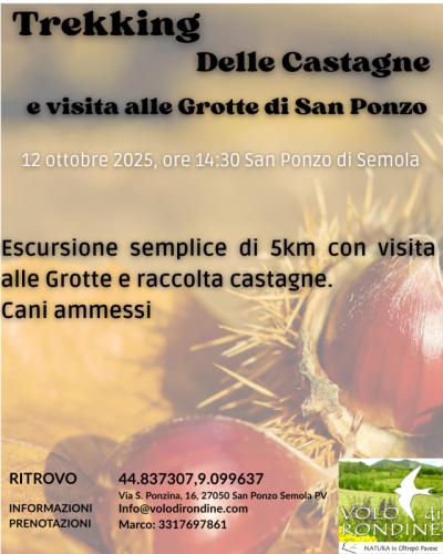 Escursione Naturalistica Alle Grotte Di San Ponzo - Ponte Nizza