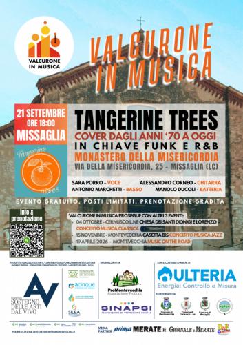 Concerto Di Tangerine Trees - Missaglia