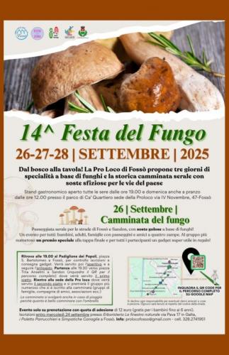 La Festa Del Fungo A Fossò - Fossò