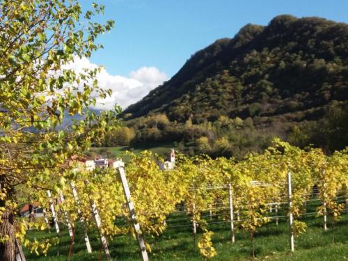 Tarzo E La Via Dei Murales Tra Arte, Tradizioni Popolari E Natura - Tarzo