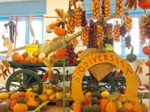 La Casa Delle Zucche - 33 Edizione- Youpick - Mostramercato - Andezeno