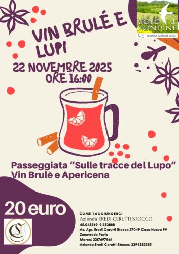 Vin Brulè In Vigna, Passeggiata E Apericena - Zenevredo