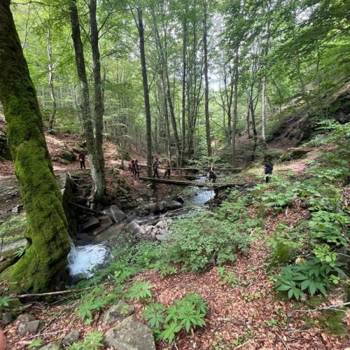 Il Sentiero Del Silenzio: L’eremo Di Motrano - Casole D'elsa