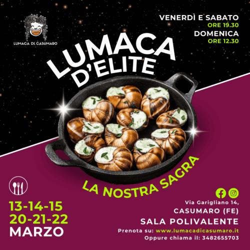 Lumaca D'elite - Finale Emilia