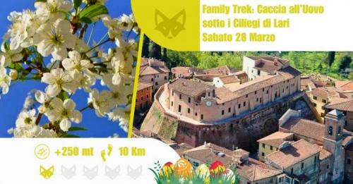 Family Trek: Caccia All'uovo Sotto I Ciliegi Di Lari - Casciana Terme Lari
