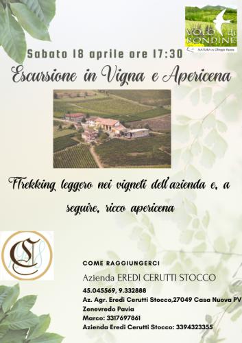 Le Notturne Di Volo Di Rondine   - Zenevredo