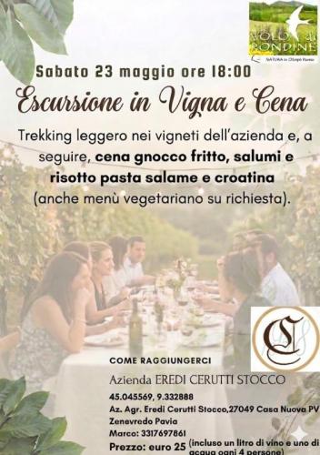 Trekking Leggero E Cena In Vigna - Zenevredo