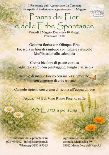 Pranzo Dei Fiori E Delle Erbe Spontanee - Montefiore Dell'aso