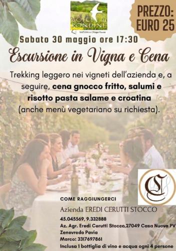 Trekking Leggero E Cena In Vigna - Zenevredo