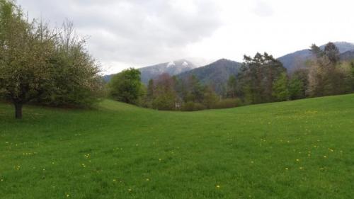 Cavarnere E I Prati Fioriti Della Valbelluna - Borgo Valbelluna