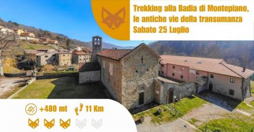 Trekking Alla Badia Di Montepiano - Prato