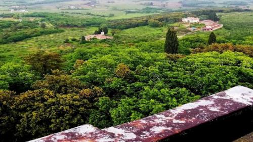 La Sentinella Del Valdarno: Trekking Alla Torre Di Galatrona - Bucine