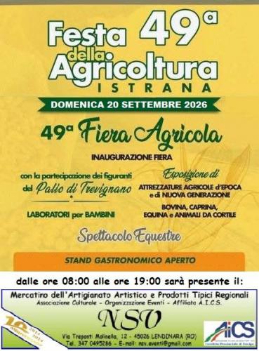 Mercatino Della Festa Dell'agricoltura Di Sala D'istrana  - Istrana