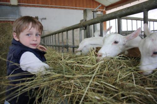 Fattorie Didattiche Aperte - 