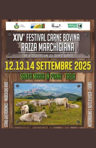 Festival Della Carne Bovina Di Razza Marchigiana - Treia