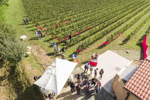 Festival Franciacorta In Cantina - 
