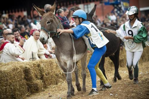 Palio Degli Asini Ad Alba - Alba