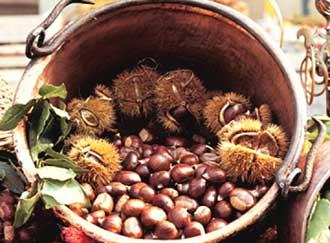 Festa Della Castagna - Civitella Di Romagna