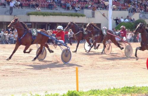Palii Delle Felsinarie - Bologna