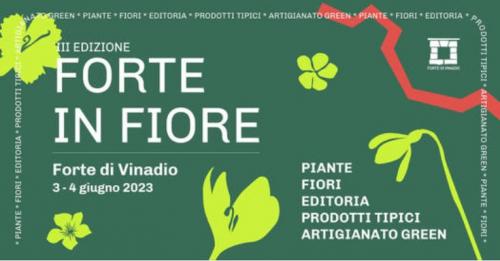 Forte In Fiore A Vinadio  - Vinadio