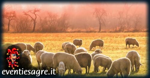 Fiera Dei Santi A Vinadio - Vinadio