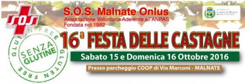 Festa Delle Castagne - Malnate