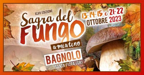 Sagra Del Fungo Amiatino A Bagnolo - Santa Fiora