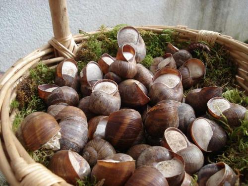 Antica Fiera Dei Bogoni E Dei Tartufi - Badia Calavena