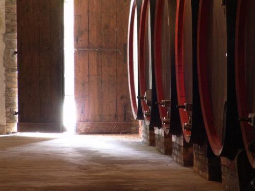 San Martino In Cantina - Udine