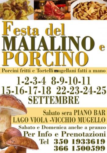 Festa Del Maialino E Del Porcino A Vicchio - Vicchio