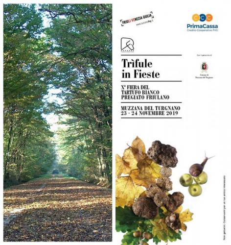 Fiera Del Tartufo Bianco Pregiato Friulano - Muzzana Del Turgnano