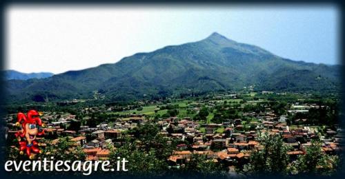 Sagra Di Sant'andrea - Peveragno