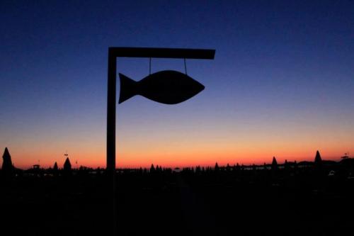 Festa Della Saracca - Valsamoggia