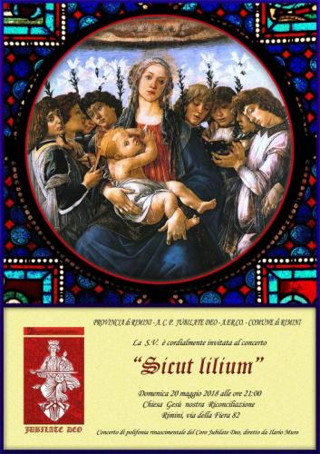 Sicut Lilium - Rimini