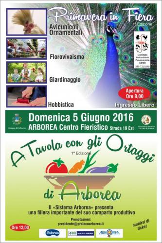 Primavera In Fiera - Arborea