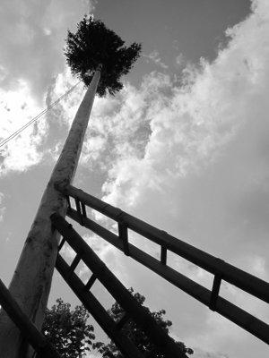 Festa Della Pita - Alessandria Del Carretto