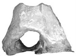 Pasquetta A San Vito - Calimera